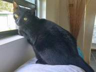 Tuna Photo