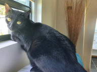 Tuna Photo