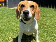Matilda Photo
