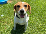 Matilda Photo
