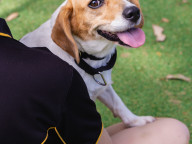 Matilda Photo