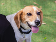 Matilda Photo