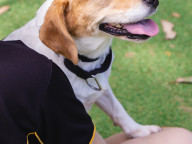 Matilda Photo