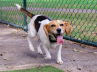 Matilda Photo
