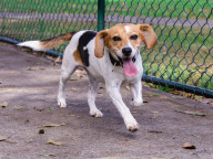 Matilda Photo