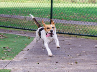 Matilda Photo
