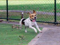 Matilda Photo