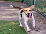 Matilda Photo