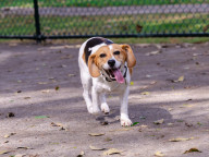 Matilda Photo