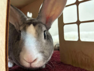Benjamin Photo