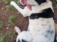 Patch Photo