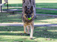 Casey Photo