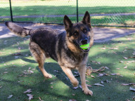 Casey Photo