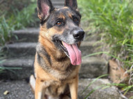 Casey Photo