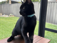 Vinnie Photo