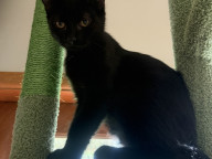 Abby Photo