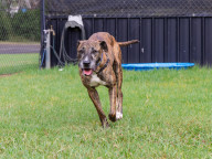Milly Photo
