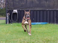 Milly Photo