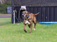 Milly Photo