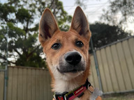 Ryder Photo