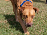Koby Photo