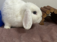 Kevin Photo