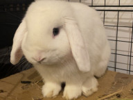 Kevin Photo
