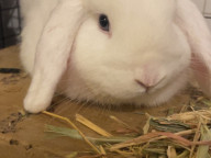 Kevin Photo
