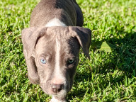 Greyson Photo