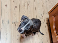 Greyson Photo