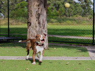 Dudley Photo