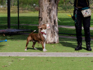 Dudley Photo