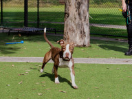 Dudley Photo