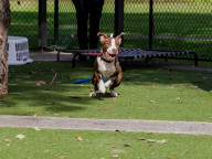 Dudley Photo