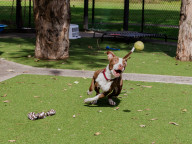 Dudley Photo