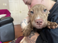 Kreacher Photo