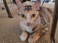 Zandora Photo