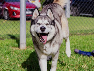 Bailey Photo
