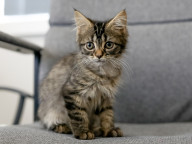 Maggie Photo