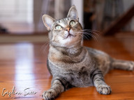 Missy Photo