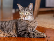 Missy Photo