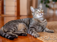Missy Photo