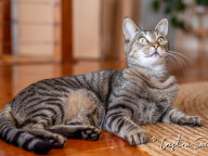 Missy Photo