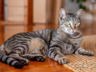 Missy Photo
