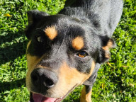 Jake Photo