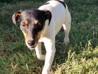 Bindi Photo