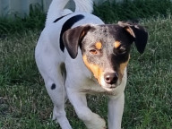 Bindi Photo