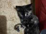Mia Photo
