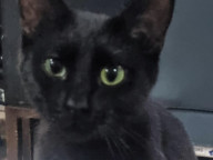 Luna Photo