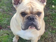 Dudley Photo